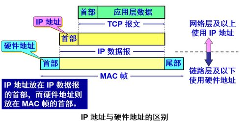 电子产品技术开发中的计算机网络 创新引擎与未来趋势